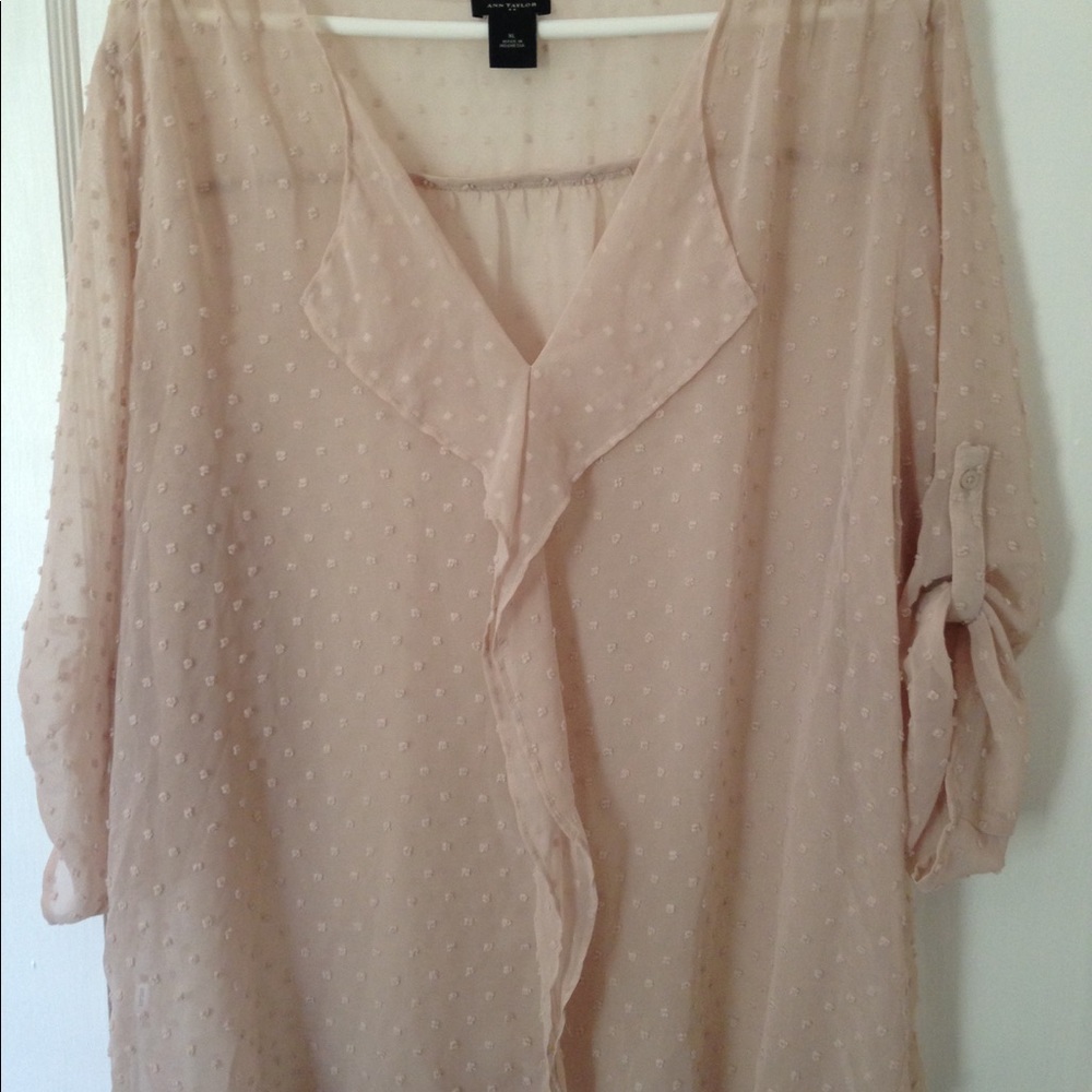 Ann Taylor xl sheer dotted swiss blouse
